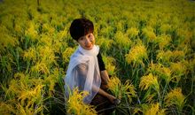 心灵深处的快乐