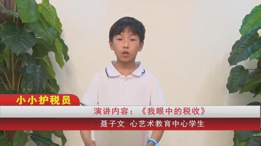 我眼中的税