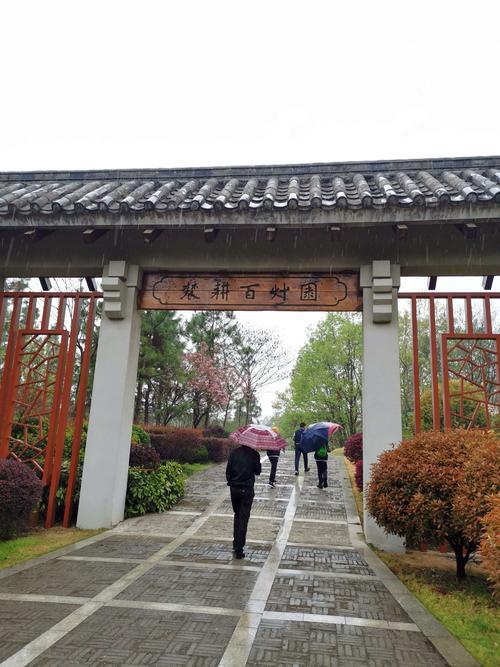百草原游