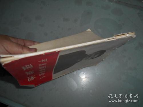 普通贵族