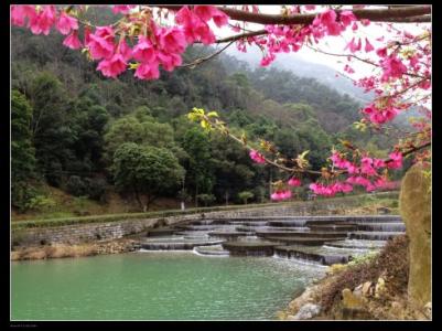 多雨的