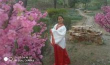 假如我是一阵风