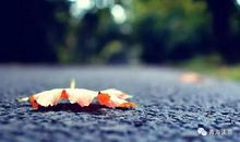 其实你并不孤独