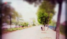 感恩的花开在青春路上