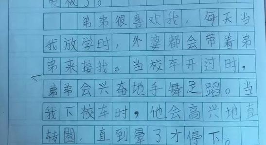 我最喜欢的玩具作文200字二年级