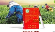 关于戒烟的作文：一盒戒烟茶_550字