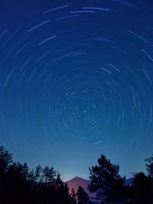 夏夜新发现