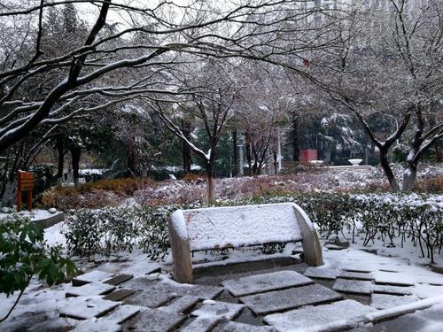 2018年的第一场雪