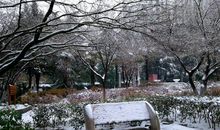 2018年的第一场雪