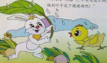 小鸡和我玩“障碍跑”