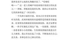 鼻子一酸的经历作文