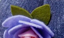 遇见生命的奇迹