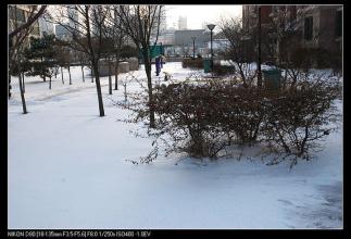 迟来的雪