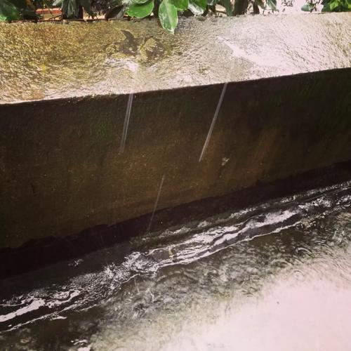 倾盆大雨