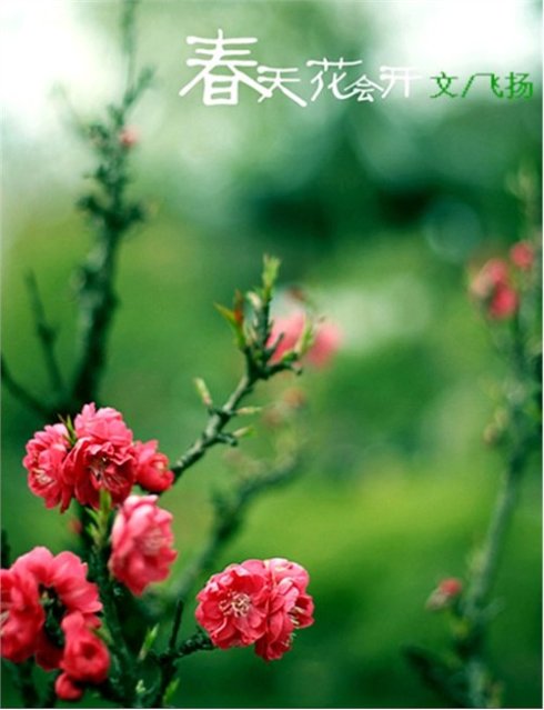 春天的花朵会盛开