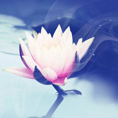毅力