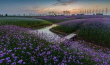 大阳山植物园游玩记
