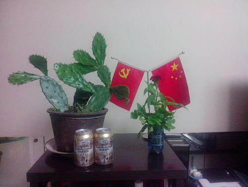 我的盆景