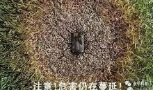 废旧电池的危害