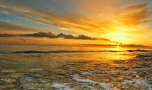 一段什么的旅程