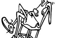 站在客观的角度看理想