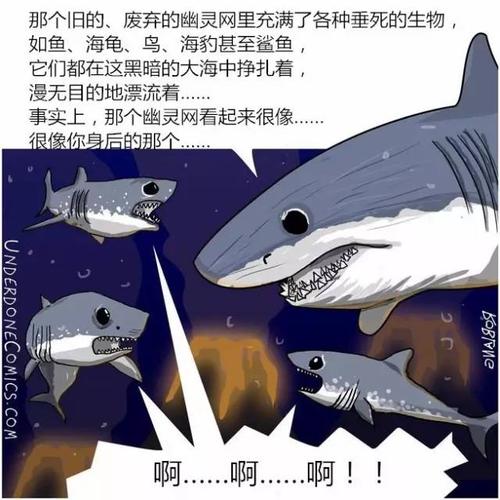 如果我是鲨鱼