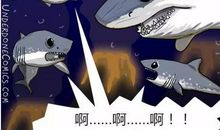 如果我是一只鲨鱼