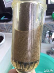 沉淀物过滤很年轻