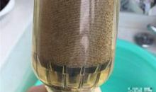 沉淀过滤是青春