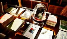 遇见生命中的美好