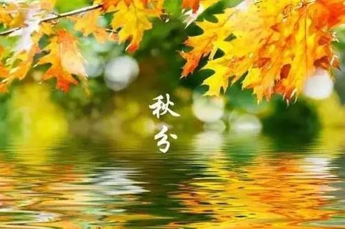 秋雨值得记住