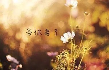 爱在移动