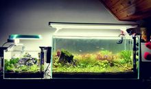 有一种神奇让我着迷