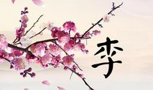 雨触动了我的心灵