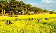 有一种风景叫文明