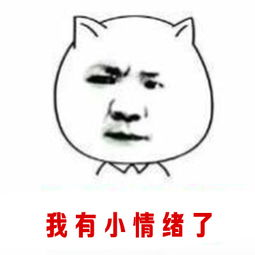 小情绪
