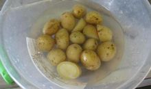 滚来滚去的小土豆