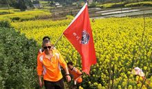 荡漾在春的日子里