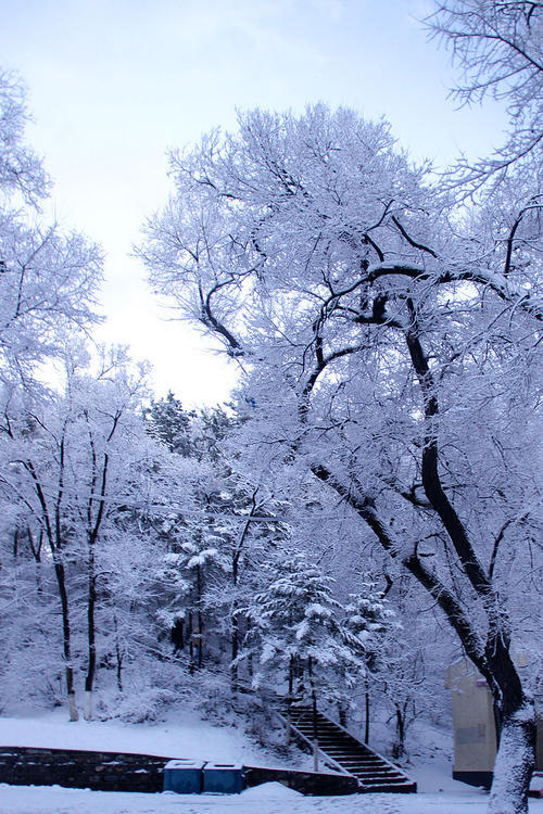 另见飞雪