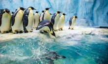 珠海长隆海洋公园