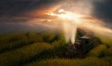 留在心底的微笑