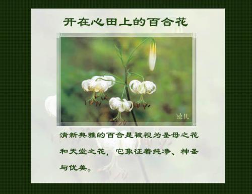 心脏领域的足迹