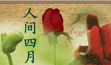 人间四月有你好暖