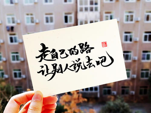 走自己的路，让别人谈论