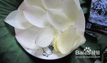 留一瓣荷香在书中