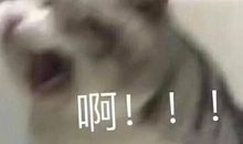 对夸夸群的看法议论文