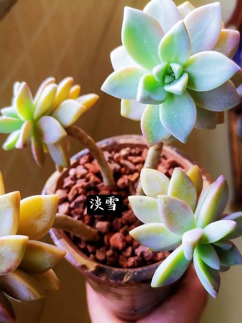 跑步是生活中最美丽的姿势
