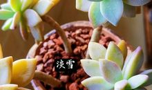 奔跑，是一种最美的生命姿态