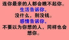 我从来没有这样努力