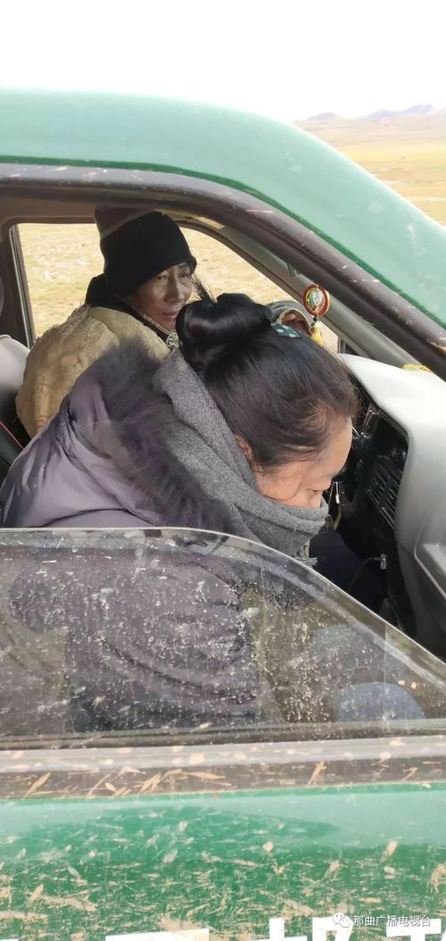 坚持生活的真相